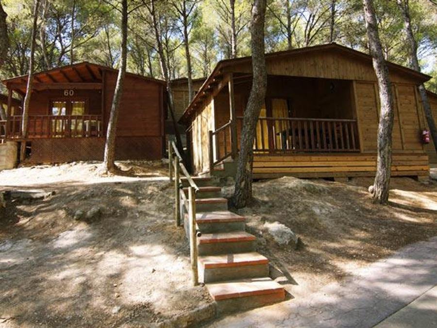 Camping Pas Cher vous présente avec son site Officiel campingpascher.fr, le Camping Estival Torre De La Mora classé 5 étoiles, situé sur la commune de Tarragona dans le département Tarragone (Catalogne) en Espagne. Le camping Estival Torre De La Mora, vous présente un hébergement de type bungalow de 32 m² avec climatisation et télévision. Le camping Estival Torre De La Mora vous propose du sam. 26 septembre au sam. 03 octobre 2026, en promotion à -10% pour 7 nuits à 483,21 € au lieu de 536,9 € soit une Économie de 53,69 €. Cette location propose 9 dates différentes pour réserver votre séjour. Découvrez également les 6 autres gammes d'hébergements du camping. Les Avis clients pour le Camping Estival Torre De La Mora sont excellents avec une note moyenne de 8 sur 10. Mer, Parc aquatique, Piscine couverte, Piscine extérieure, Club enfants, Aire de jeux enfants, Court de tennis, Ping-pong, Piscine, Salle de fitness, Terrain multisports, Tir à l’arc, Bar, Dépôt de pain, Plats à emporter, Restaurant, Supermarché,... En savoir plus : cliquez-ICI.