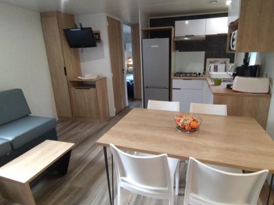 Cliquez pour découvrir toutes les photos de l'HÉBERGEMENT ! mobil-home - La Castillonderie photo 4
