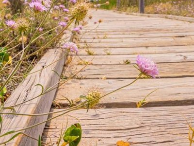 Cliquez pour découvrir toutes les photos de l'ÉTABLISSEMENT ! camping Relax Sol photo 9