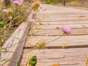 Cliquez pour découvrir toutes les photos de l'ÉTABLISSEMENT ! camping Relax Sol photo 9
