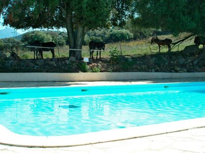 Cliquez pour découvrir toutes les photos de l'ÉTABLISSEMENT ! camping U Sommalu photo 1