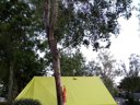 tente en toile et bois - camping Kerlaz photo 6