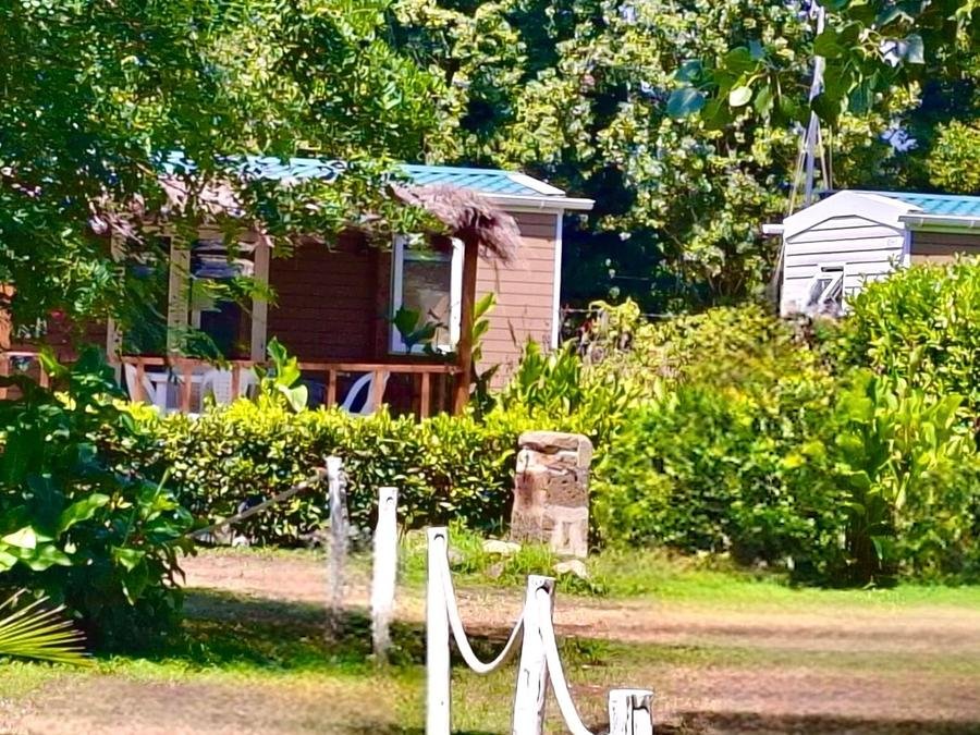 Camping Pas Cher vous présente avec son site Officiel campingpascher.fr, le Camping International Glamping Lago Di Bracciano classé 4 étoiles, situé sur la commune de Trevignano Romano dans le département Rome (Latium) en Italie. Le camping International Glamping Lago Di Bracciano vous propose un hébergement de type mobil-home de 24 m². Cet hébergement propose plus de 87 dates différentes pour réserver ! Pour dévouvrir la période la moins chère, consultez la rubrique 'Tarifs' et sélectionnez votre mois de départ. L'établissement vous propose 11 autres types d'hébergements. Découvrez tous nos séjours à petits prix dans la commune et aux alentours de Trevignano Romano du département : Rome (Latium). Les Avis clients pour le Camping International Glamping Lago Di Bracciano sont excellents avec une note moyenne de 8 sur 10. LacMer, Piscine extérieure, Aire de jeux enfants, Cyclisme, Ping-pong, Pétanque, Randonnée, Salle de fitness, Bar, Pizzeria, Plats à emporter, Restaurant, Snack/Bar, Épicerie,... En savoir plus : cliquez-ICI.