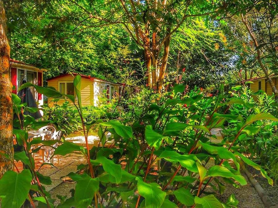 Camping Pas Cher vous présente avec son site Officiel campingpascher.fr, le Camping International Glamping Lago Di Bracciano classé 4 étoiles, situé sur la commune de Trevignano Romano dans le département Rome (Latium) en Italie. Le camping International Glamping Lago Di Bracciano vous propose un hébergement de type mobil-home de 24 m² pour 1 personne. L'établissement vous propose 11 autres types d'hébergements. Découvrez tous nos séjours à petits prix dans la commune et aux alentours de Trevignano Romano du département : Rome (Latium). Les Avis clients pour le Camping International Glamping Lago Di Bracciano sont excellents avec une note moyenne de 8 sur 10. LacMer, Piscine extérieure, Aire de jeux enfants, Cyclisme, Ping-pong, Pétanque, Randonnée, Salle de fitness, Bar, Pizzeria, Plats à emporter, Restaurant, Snack/Bar, Épicerie,... En savoir plus : cliquez-ICI.