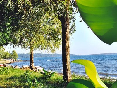Cliquez pour découvrir toutes les photos de l'ÉTABLISSEMENT ! établissement International Glamping Lago Di Bracciano photo 15