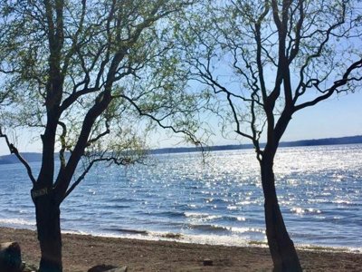 Cliquez pour découvrir toutes les photos de l'ÉTABLISSEMENT ! établissement International Glamping Lago Di Bracciano photo 16