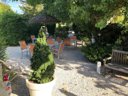 Cliquez pour découvrir toutes les photos de l'ÉTABLISSEMENT ! établissement International Glamping Lago Di Bracciano photo 5