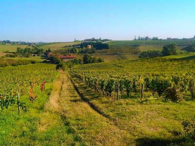 Cliquez pour découvrir toutes les photos de l'ÉTABLISSEMENT ! établissement Kanopée Village photo 16