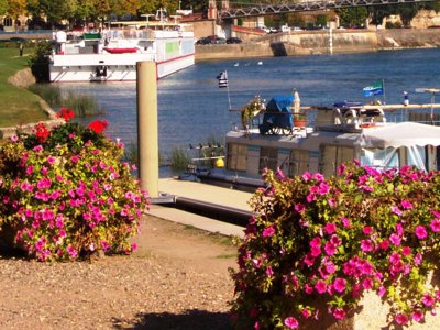 Cliquez pour découvrir toutes les photos de l'ÉTABLISSEMENT ! établissement Kanopée Village photo 23