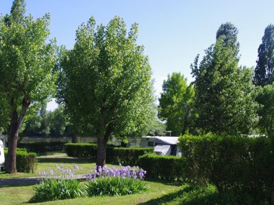 Cliquez pour découvrir toutes les photos de l'ÉTABLISSEMENT ! établissement Kanopée Village photo 28