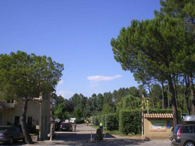 camping La Rouvière Les Pins photo 19