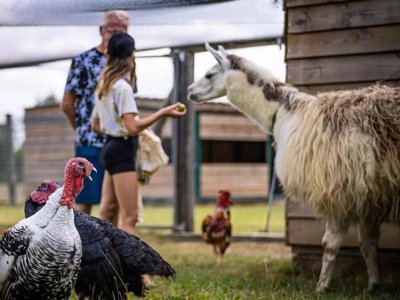 Cliquez pour découvrir toutes les photos de l'ÉTABLISSEMENT ! camping Ferme Pédagogique De Prunay photo 7