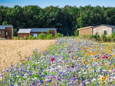 Cliquez pour découvrir toutes les photos de l'ÉTABLISSEMENT ! camping Ferme Pédagogique De Prunay photo 9