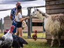 Cliquez pour découvrir toutes les photos de l'ÉTABLISSEMENT ! camping Ferme Pédagogique De Prunay photo 7