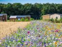 Cliquez pour découvrir toutes les photos de l'ÉTABLISSEMENT ! camping Ferme Pédagogique De Prunay photo 9