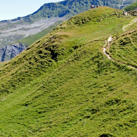 Cliquez pour découvrir toutes les photos de l'ÉTABLISSEMENT ! établissement Le Dôme Des Rousses photo 5