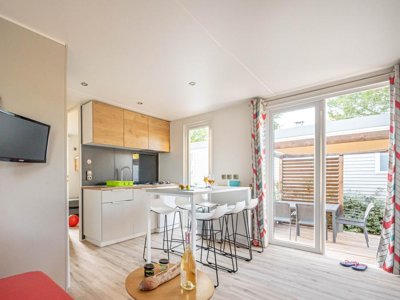 Cliquez pour découvrir toutes les photos de l'HÉBERGEMENT ! mobil-home - Flower Le Mas De Mourgues photo 12
