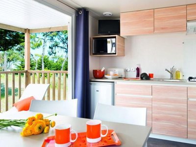 Cliquez pour découvrir toutes les photos de l'HÉBERGEMENT ! mobil-home - Flower Le Mas De Mourgues photo 4