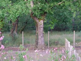 Camping Pas Cher vous présente avec son site Officiel campingpascher.fr, le Camping Paradis Le Tastesoule classé 4 étoiles, situé sur la commune de Vensac dans le département Gironde (Aquitaine) en France. Le camping Paradis Le Tastesoule, vous présente un hébergement de type tente de 30 m² pour 4 personnes. Le camping Paradis Le Tastesoule vous propose du sam. 29 août au sam. 05 septembre 2026, en promotion à -7% pour 7 nuits à 174 € au lieu de 188,0 € soit une Économie de 14 €. Cette location propose 43 dates différentes pour réserver votre séjour. Découvrez également les 7 autres gammes d'hébergements du camping. Les Avis clients pour le Camping Paradis Le Tastesoule sont excellents avec une note moyenne de 8 sur 10. Piscine extérieure, Animations familiales, Club ados, Club enfants, Aire de jeux enfants, Baby-foot, Canoë-kayak, Cyclisme, Flipper, Golf, Jet-ski, Parcours sportif, Ping-pong, Piscine, Planche à voile, Pédalo, Pétanque, Randonnée, Structure gonflable enfants, Surf, Terrain de beach-volley, Terrain multisports, Tir à l’arc, Trampoline, Voile, Bar, Plats à emporter, Restaurant, Snack/Bar, Supermarché, Épicerie,... En savoir plus : cliquez-ICI.