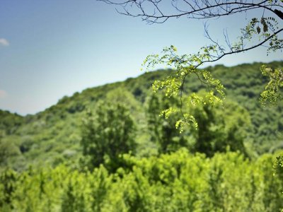 Cliquez pour découvrir toutes les photos de l'ÉTABLISSEMENT ! camping Les Granges photo 23