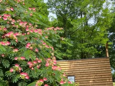 Cliquez pour découvrir toutes les photos de l'HÉBERGEMENT ! hébergement insolite - Les Granges photo 7