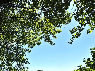 Cliquez pour découvrir toutes les photos de l'ÉTABLISSEMENT ! camping Les Granges photo 29