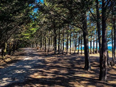 camping Le Matin Calme photo 2