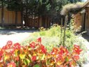 chalet - camping Le Matin Calme photo 4