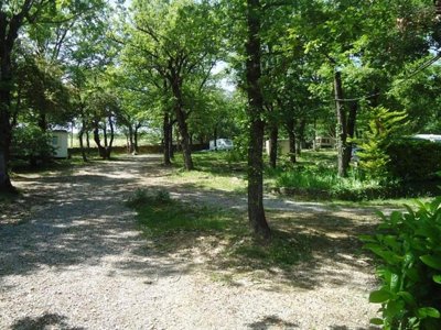 camping Les Chênes photo 16