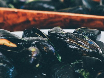 Cliquez pour découvrir toutes les photos de l'ÉTABLISSEMENT ! établissement Sea Green L'Occitan photo 25
