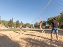 Cliquez pour découvrir toutes les photos de l'ÉTABLISSEMENT ! établissement Sea Green L'Occitan photo 9