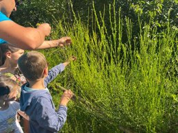 Camping Pas Cher vous présente avec son site Officiel campingpascher.fr, le Camping De La Bageasse classé 3 étoiles, situé sur la commune de Vieille Brioude dans le département Haute-loire (Auvergne) en France. Le camping De La Bageasse vous propose un hébergement de type mobil-home de 27 m² (télévision). L'établissement vous propose 5 autres types d'hébergements. Découvrez tous nos séjours à petits prix dans la commune et aux alentours de Vieille Brioude du département : Haute-loire (Auvergne). Les Avis clients pour le Camping De La Bageasse sont excellents avec une note moyenne de 9 sur 10. Rivière, Piscine extérieure, Animations familiales, Club enfants, Aire de jeux enfants, Canoë-kayak, Centre équestre, Court de tennis, Paddle, Ping-pong, Pédalo, Pétanque, Rafting, Randonnée, Terrain de volley-ball, Bar, Dépôt de pain, Snack/Bar, Épicerie,... En savoir plus : cliquez-ICI.