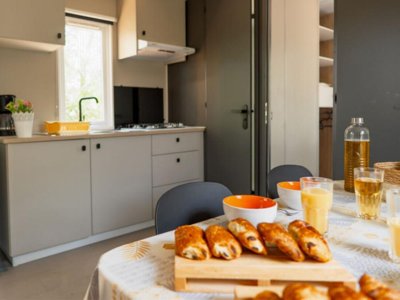 Cliquez pour découvrir toutes les photos de l'HÉBERGEMENT ! mobil-home - Mas Des Roses photo 7
