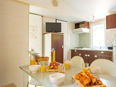 Cliquez pour découvrir toutes les photos de l'HÉBERGEMENT ! mobil-home - Mas Des Roses photo 2