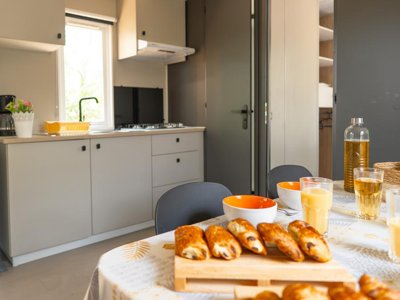 Cliquez pour découvrir toutes les photos de l'HÉBERGEMENT ! mobil-home - Mas Des Roses photo 2
