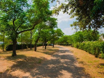 Cliquez pour découvrir toutes les photos de l'ÉTABLISSEMENT ! camping Mas Des Roses photo 4