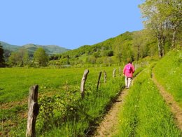 Camping Pas Cher vous présente avec son site Officiel campingpascher.fr, le Camping Pommeraie classé 4 étoiles, situé sur la commune de Vic Sur Cere dans le département Cantal (Auvergne) en France. Le camping Pommeraie, vous présente un hébergement de type mobil-home de 22 m². Le camping Pommeraie vous propose du sam. 06 juin au sam. 13 juin 2026, en promotion à -20% pour 7 nuits à 239,20 € au lieu de 299,0 € soit une Économie de 59,80 €. Cette location propose 62 dates différentes pour réserver votre séjour. Découvrez également les 14 autres gammes d'hébergements du camping. Les Avis clients pour le Camping Pommeraie sont excellents avec une note moyenne de 8 sur 10. Rivière, Piscine couverte, Piscine extérieure, Animations familiales, Club enfants, Aire de jeux enfants, Centre équestre, Court de tennis, Ping-pong, Pétanque, Randonnée, Structure gonflable enfants, Terrain multisports, Bar, Dépôt de pain, Plats à emporter, Restaurant, Snack/Bar, Supermarché, Épicerie,... En savoir plus : cliquez-ICI.