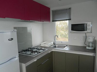 Cliquez pour découvrir toutes les photos de l'HÉBERGEMENT ! mobil-home - Flower Omaha Beach photo 3