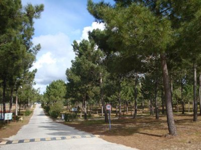 Cliquez pour découvrir toutes les photos de l'ÉTABLISSEMENT ! camping Sitava Milfontes photo 20