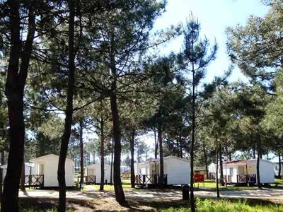 Cliquez pour découvrir toutes les photos de l'ÉTABLISSEMENT ! camping Sitava Milfontes photo 25