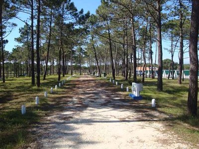 Cliquez pour découvrir toutes les photos de l'ÉTABLISSEMENT ! camping Sitava Milfontes photo 26
