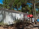 Cliquez pour découvrir toutes les photos de l'HÉBERGEMENT ! mobil-home - camping Sitava Milfontes photo 9