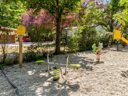 camping Mas De Lastourg photo 6