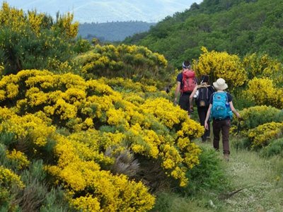 Cliquez pour découvrir toutes les photos de l'ÉTABLISSEMENT ! camping Borepo photo 20