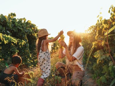 Cliquez pour découvrir toutes les photos de l'ÉTABLISSEMENT ! camping Borepo photo 23