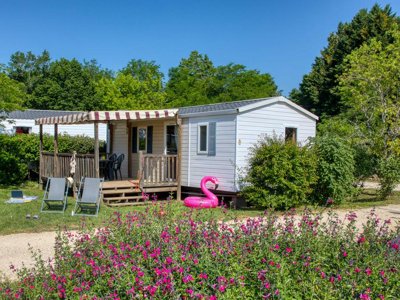 Cliquez pour découvrir toutes les photos de l'ÉTABLISSEMENT ! camping Flower La Sagne photo 6
