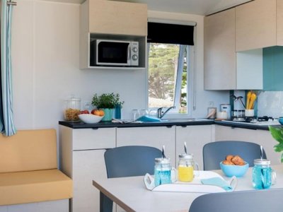 Cliquez pour découvrir toutes les photos de l'HÉBERGEMENT ! mobil-home - Le Nid D'Eté photo 2
