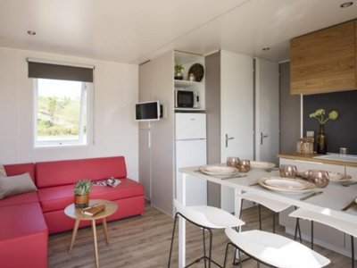 Cliquez pour découvrir toutes les photos de l'HÉBERGEMENT ! mobil-home - Le Nid D'Eté photo 2
