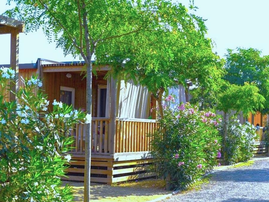 Camping Pas Cher vous présente avec son site Officiel campingpascher.fr, le Camping Resort Els Pins classé 4 étoiles, situé sur la commune de Malgrat De Mar dans le département Barcelone (Catalogne) en Espagne. Le camping Resort Els Pins vous propose un hébergement de type mobil-home de 28 m² avec climatisation (télévision). L'établissement vous propose 7 autres types d'hébergements. Découvrez tous nos séjours à petits prix dans la commune et aux alentours de Malgrat De Mar du département : Barcelone (Catalogne). Les Avis clients pour le Camping Resort Els Pins sont excellents avec une note moyenne de 8 sur 10. LacMerRivière, Parc aquatique, Piscine extérieure, Animations familiales, Club enfants, Aire de jeux enfants, Canoë-kayak, Centre équestre, Cyclisme, Golf, Paddle, Ping-pong, Pétanque, Randonnée, Ski nautique, Terrain de volley-ball, Terrain multisports, Voile, kiteSurf, Bar, Dépôt de pain, Restaurant, Supermarché, Épicerie,... En savoir plus : cliquez-ICI.