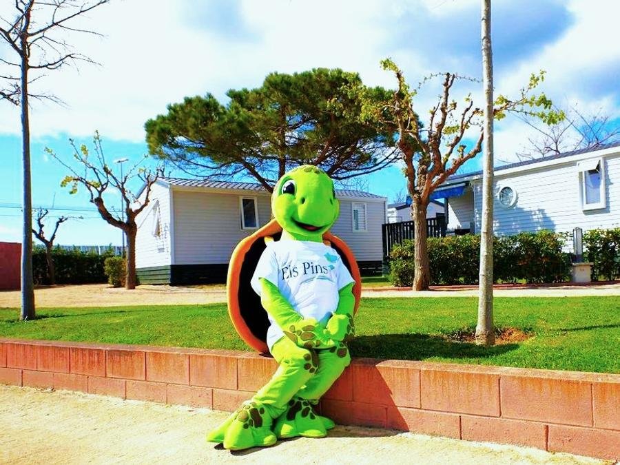 Camping Pas Cher vous présente avec son site Officiel campingpascher.fr, le Camping Resort Els Pins classé 4 étoiles, situé sur la commune de Malgrat De Mar dans le département Barcelone (Catalogne) en Espagne. Le camping Resort Els Pins vous propose un hébergement de type mobil-home de 28 m² avec climatisation (télévision). L'établissement vous propose 7 autres types d'hébergements. Découvrez tous nos séjours à petits prix dans la commune et aux alentours de Malgrat De Mar du département : Barcelone (Catalogne). Les Avis clients pour le Camping Resort Els Pins sont excellents avec une note moyenne de 8 sur 10. LacMerRivière, Parc aquatique, Piscine extérieure, Animations familiales, Club enfants, Aire de jeux enfants, Canoë-kayak, Centre équestre, Cyclisme, Golf, Paddle, Ping-pong, Pétanque, Randonnée, Ski nautique, Terrain de volley-ball, Terrain multisports, Voile, kiteSurf, Bar, Dépôt de pain, Restaurant, Supermarché, Épicerie,... En savoir plus : cliquez-ICI.